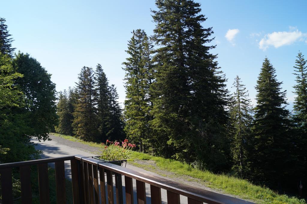 Hotel - Restaurant Le Blanchon Selonnet Rom bilde